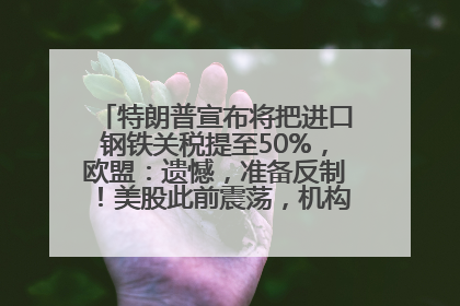 特朗普宣布将把进口钢铁关税提至50%，欧盟：遗憾，准备反制！美股此前震荡，机构：美元正进入熊市