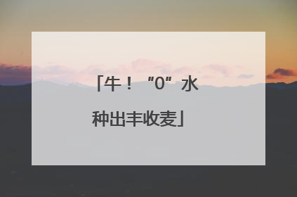 牛！“0”水种出丰收麦