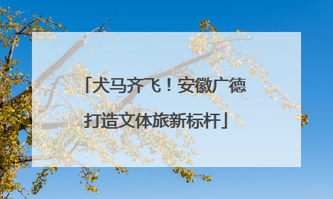 犬马齐飞！安徽广德打造文体旅新标杆