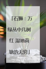 石狮：万绿丛中几树红 湿地荷塘韵无穷