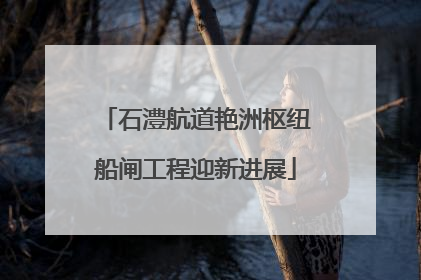 石澧航道艳洲枢纽船闸工程迎新进展