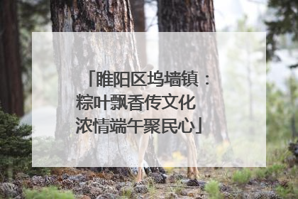 睢阳区坞墙镇：粽叶飘香传文化 浓情端午聚民心