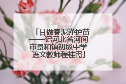 甘做春泥谨护苗——记河北省河间市景和镇初级中学语文教师程桂霞