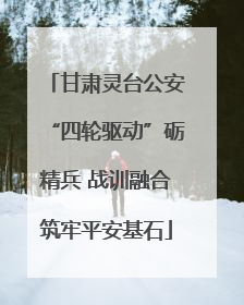甘肃灵台公安“四轮驱动”砺精兵 战训融合筑牢平安基石