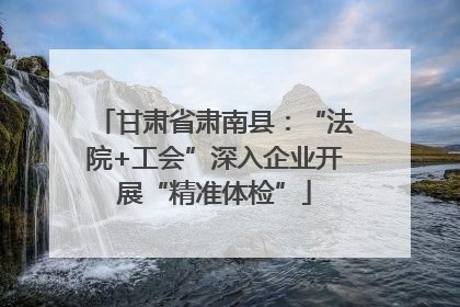 甘肃省肃南县：“法院+工会”深入企业开展“精准体检”