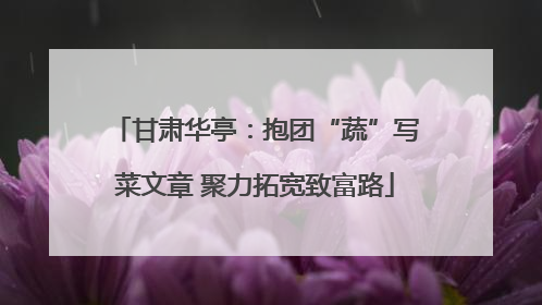 甘肃华亭：抱团“蔬”写菜文章 聚力拓宽致富路