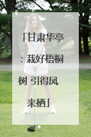甘肃华亭：栽好梧桐树 引得凤来栖