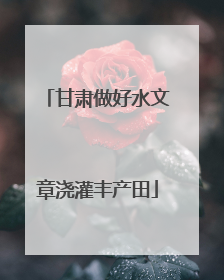 甘肃做好水文章浇灌丰产田