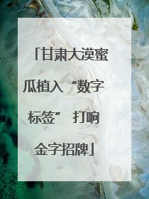 甘肃大漠蜜瓜植入“数字标签” 打响金字招牌