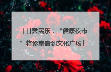 甘肃民乐：“健康夜市”将诊室搬到文化广场