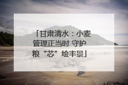 甘肃清水：小麦管理正当时 守护粮“芯”绘丰景