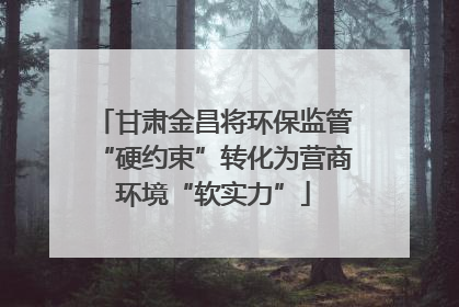 甘肃金昌将环保监管“硬约束”转化为营商环境“软实力”