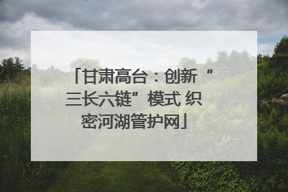 甘肃高台：创新“三长六链”模式 织密河湖管护网
