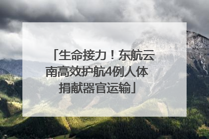 生命接力！东航云南高效护航4例人体捐献器官运输