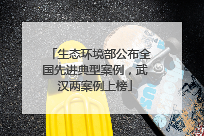 生态环境部公布全国先进典型案例，武汉两案例上榜