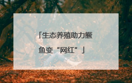 生态养殖助力鳜鱼变“网红”