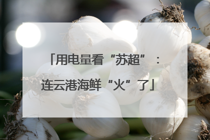 用电量看“苏超”：连云港海鲜“火”了