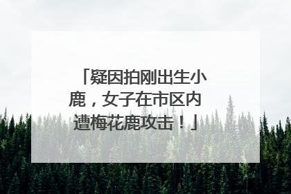 疑因拍刚出生小鹿，女子在市区内遭梅花鹿攻击！