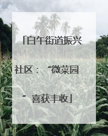 白午街道振兴社区：“微菜园”喜获丰收