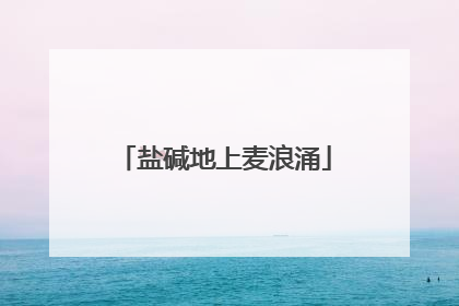 盐碱地上麦浪涌