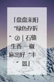 盘盘耒阳“绿色存折”②｜石缝生香 一椒麻出好“丰”景