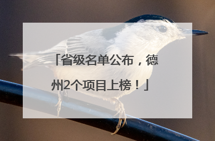 省级名单公布，德州2个项目上榜！