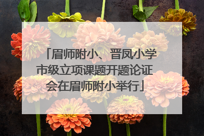 眉师附小、晋凤小学市级立项课题开题论证会在眉师附小举行
