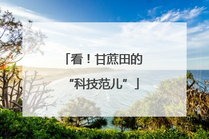 看！甘蔗田的“科技范儿”