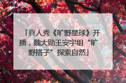 真人秀《旷野星球》开播，魏大勋王安宇组“旷野搭子”探索自然