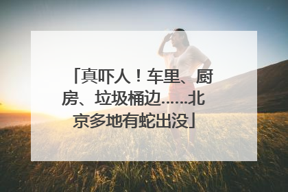 真吓人！车里、厨房、垃圾桶边……北京多地有蛇出没