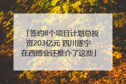 签约8个项目计划总投资203亿元 四川遂宁在西博会还推介了这些