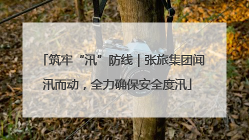 筑牢“汛”防线｜张旅集团闻汛而动，全力确保安全度汛