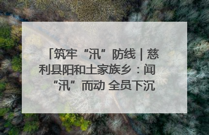筑牢“汛”防线｜慈利县阳和土家族乡：闻“汛”而动 全员下沉筑牢防汛“安全堤”