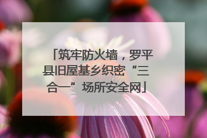 筑牢防火墙，罗平县旧屋基乡织密“三合一”场所安全网