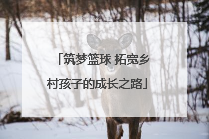 筑梦篮球 拓宽乡村孩子的成长之路