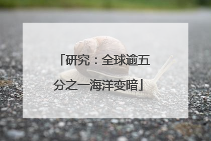 研究：全球逾五分之一海洋变暗