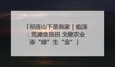 祁连山下是我家｜临泽：荒滩变良田 戈壁农业添“绿”生“金”
