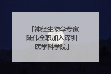 神经生物学专家陆伟全职加入深圳医学科学院