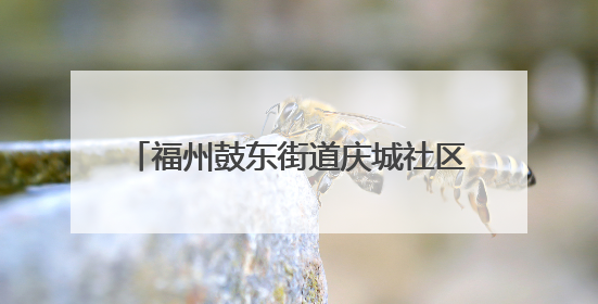 福州鼓东街道庆城社区开展端午节主题活动