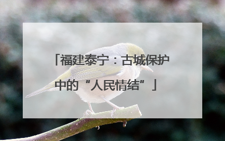 福建泰宁：古城保护中的“人民情结”