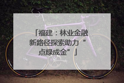 福建：林业金融新路径探索助力“点绿成金”