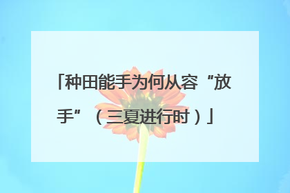 种田能手为何从容“放手”（三夏进行时）