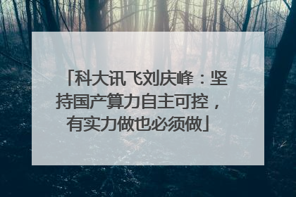 科大讯飞刘庆峰：坚持国产算力自主可控，有实力做也必须做