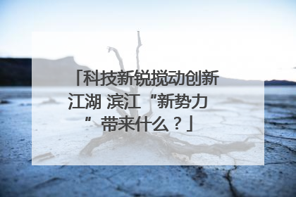 科技新锐搅动创新江湖 滨江“新势力”带来什么？