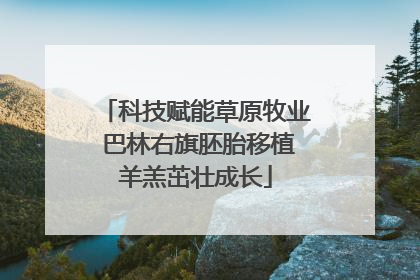 科技赋能草原牧业 巴林右旗胚胎移植羊羔茁壮成长
