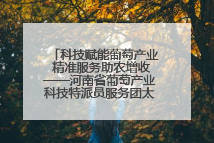 科技赋能葡萄产业 精准服务助农增收——河南省葡萄产业科技特派员服务团太康县科技服务纪实