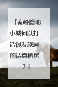 秦岭腹地小城何以打造银发旅居的诗意栖居？