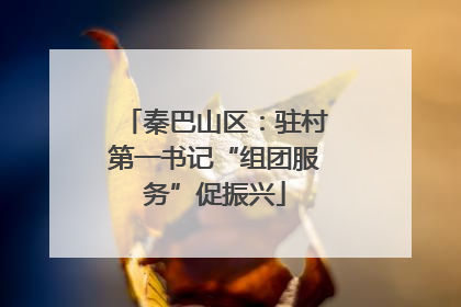 秦巴山区：驻村第一书记“组团服务”促振兴