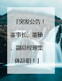 突发公告！董事长、董秘、副总经理集体辞职！