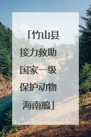 竹山县接力救助国家一级保护动物海南鳽